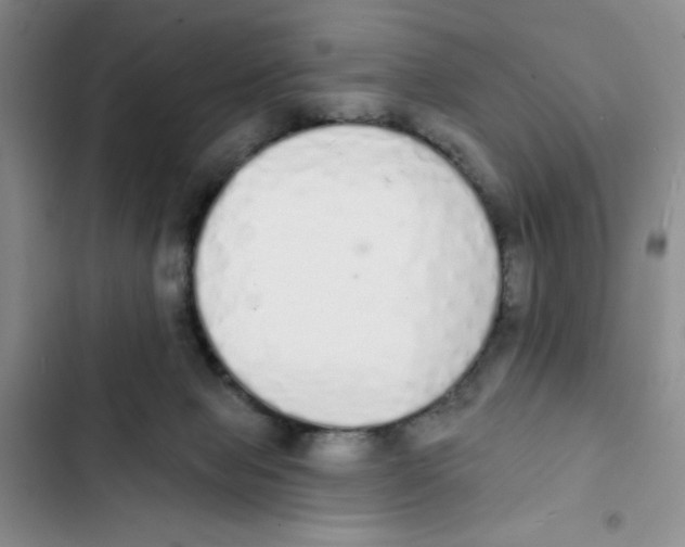 X0000102810077200809151001