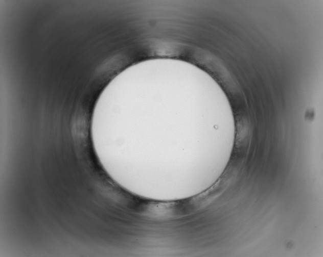 X0000102810078200809151001