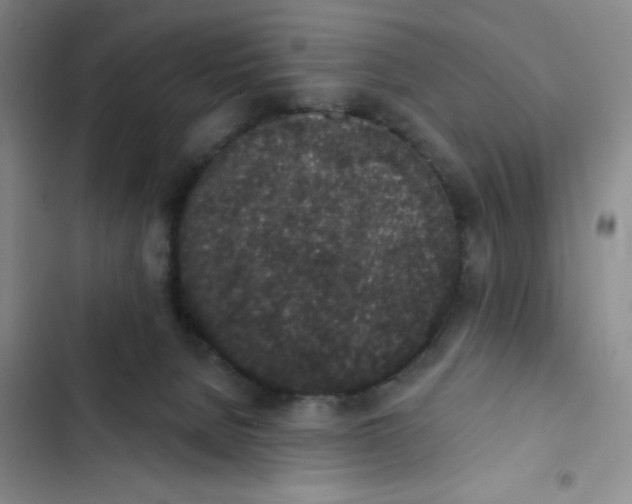 X0000102810080200809151002