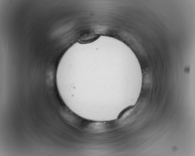 X0000102810082200809151002