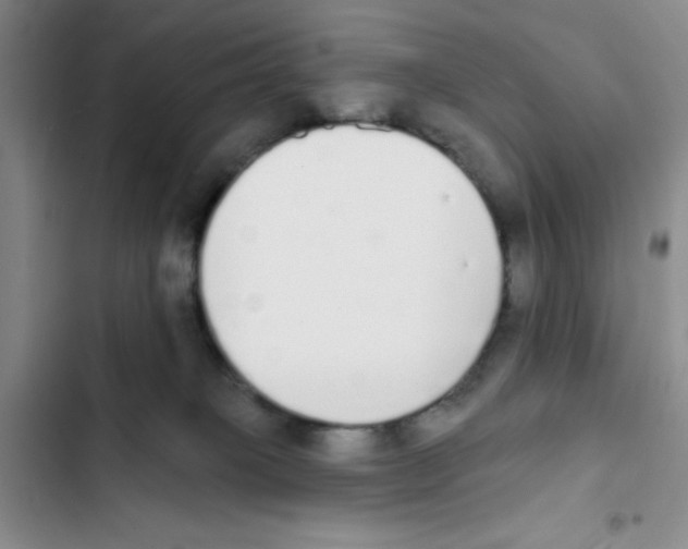 X0000102810085200809151002