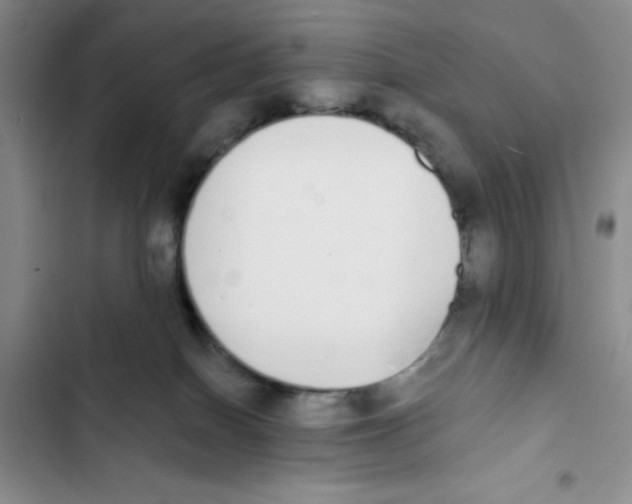 X0000102810086200809151002