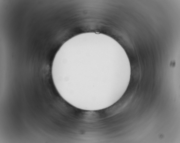 X0000102810087200809151002