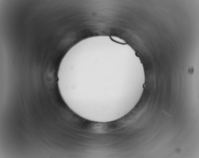 X0000102810088200809151002