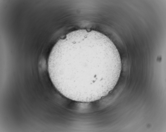 X0000102810089200809151002