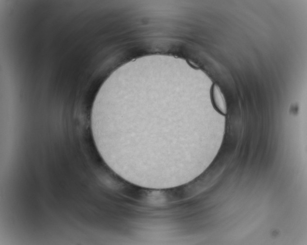 X0000102810091200809151002