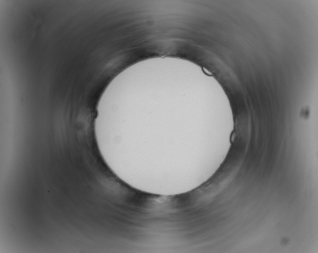 X0000102810092200809151002