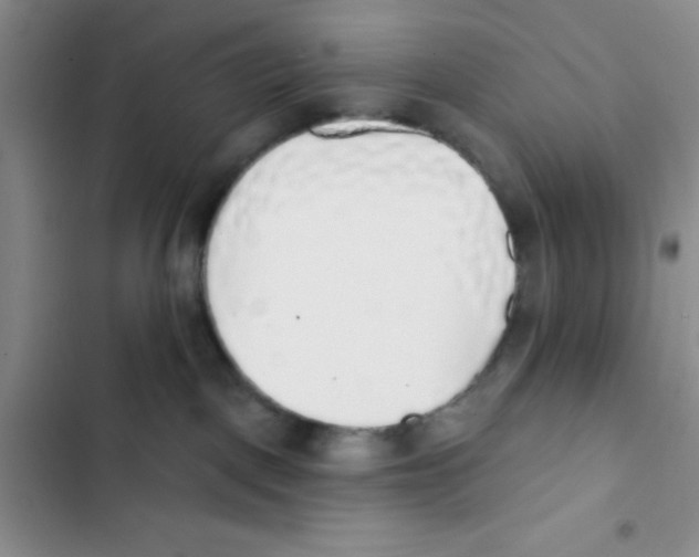 X0000102810093200809151002