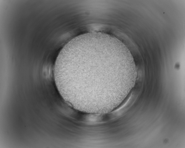 X0000102810094200809151002