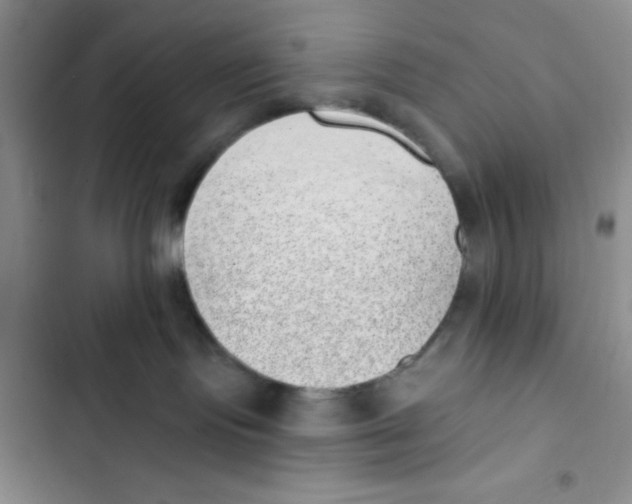 X0000102810095200809151002