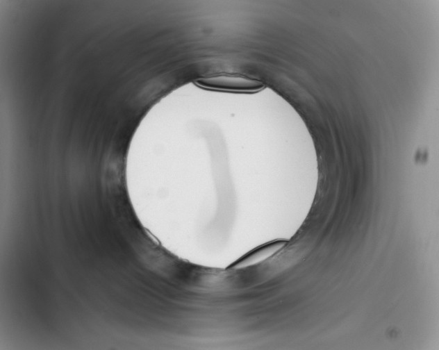 X0000102810096200809151002