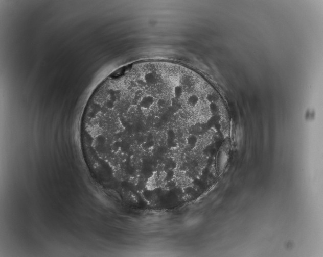 X0000102810099200809151001