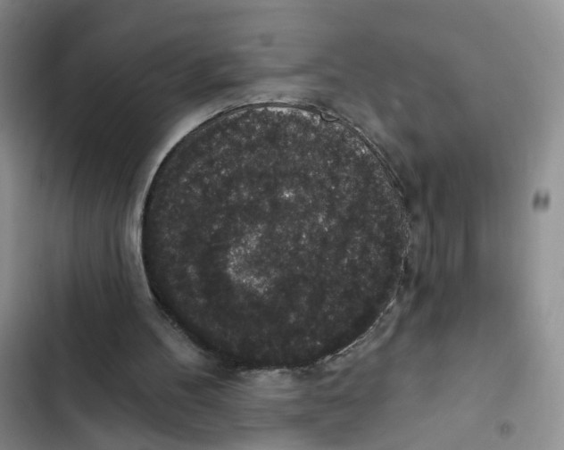 X0000102810100200809151001