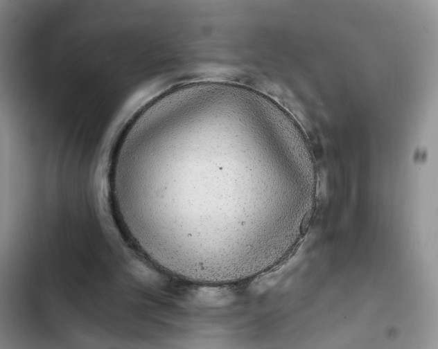 X0000102810101200809151001