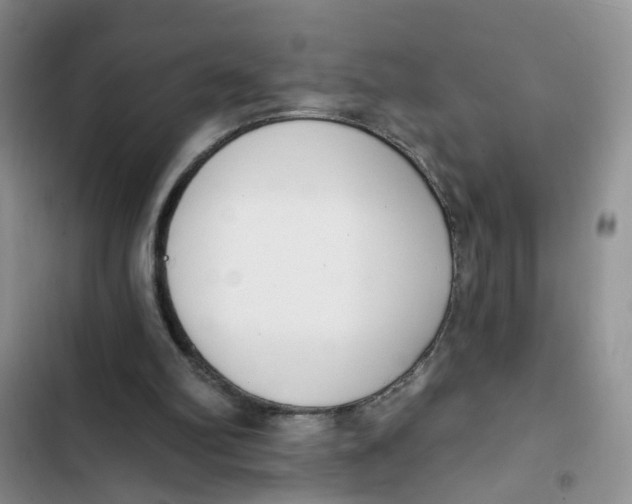 X0000102810102200809151001