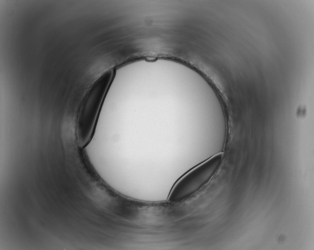 X0000102810105200809151001