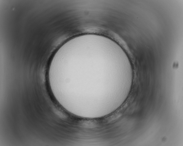 X0000102810106200809151001