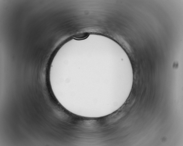 X0000102810108200809151001