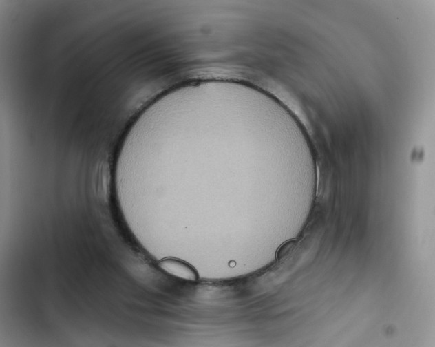 X0000102810109200809151001