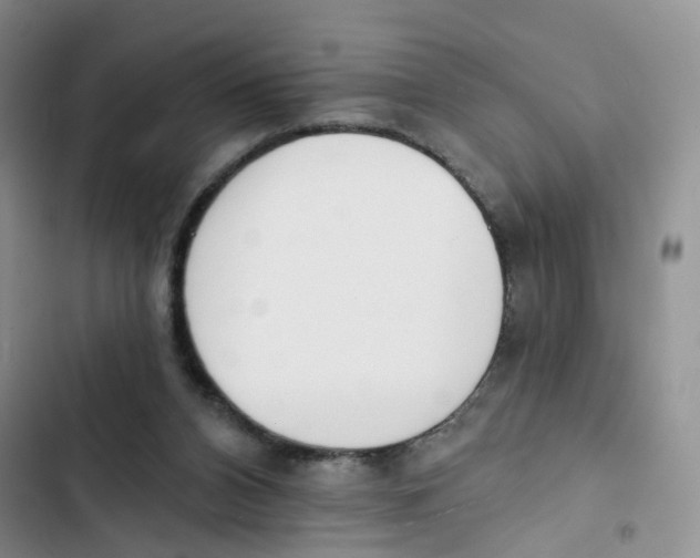 X0000102810112200809151001