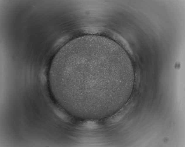 X0000102810114200809151001