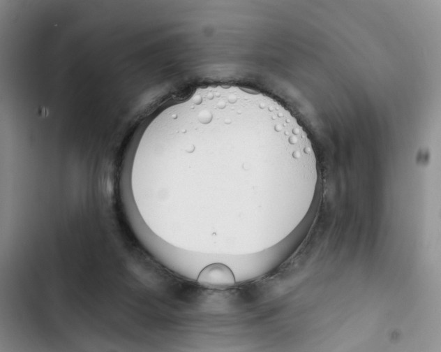 X0000102810115200809151001