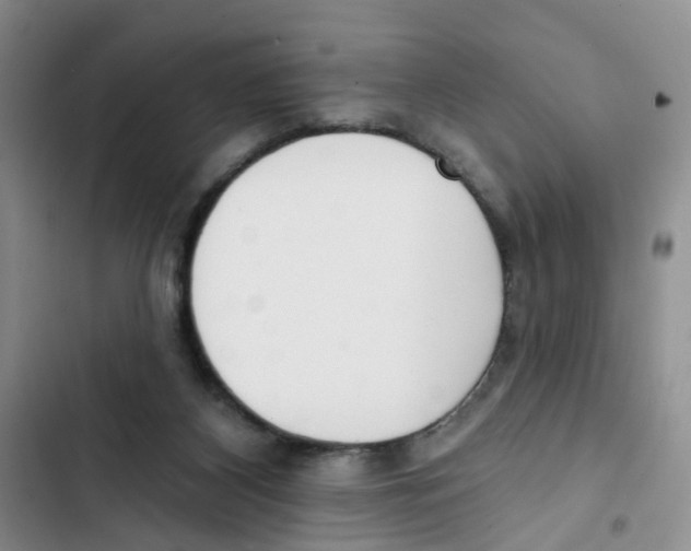 X0000102810116200809151001