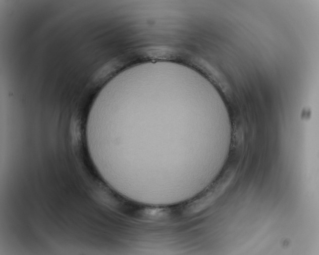 X0000102810117200809151001