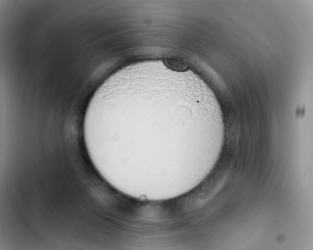 X0000102810119200809151001