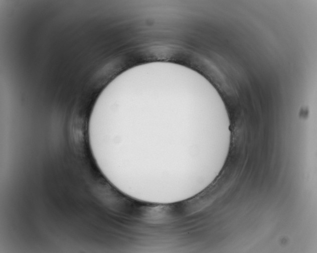 X0000102810122200809151001