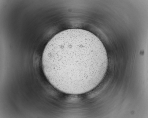 X0000102810123200809151001