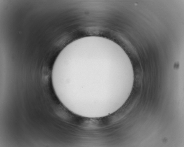 X0000102810125200809151001