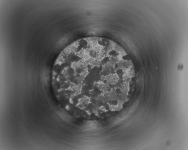 X0000102810127200809151000