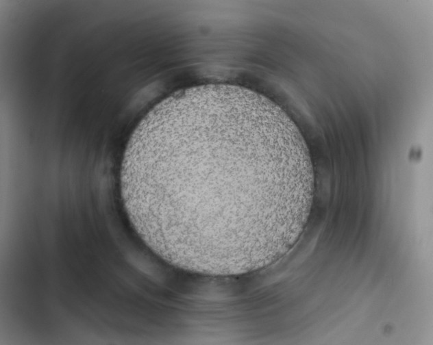 X0000102810128200809151000