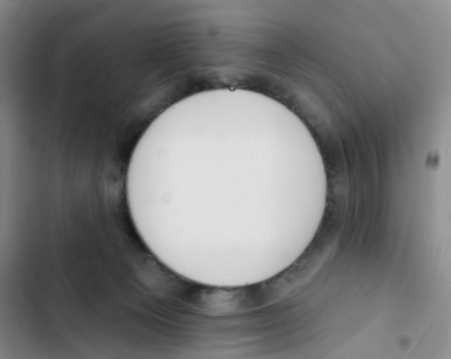 X0000102810129200809151000