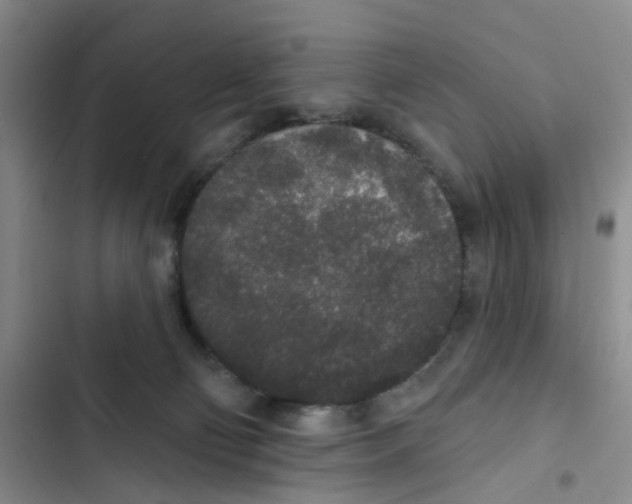 X0000102810130200809151000