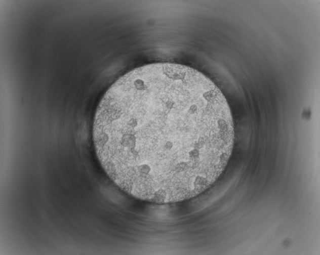 X0000102810131200809151000