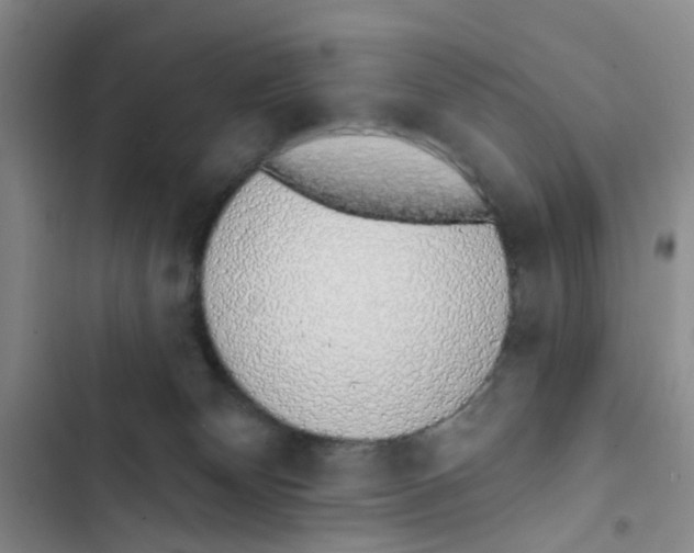 X0000102810132200809151000