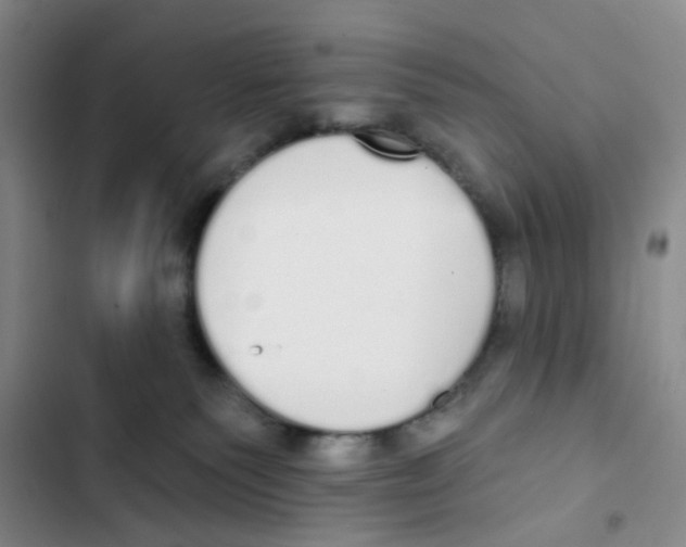 X0000102810135200809151000