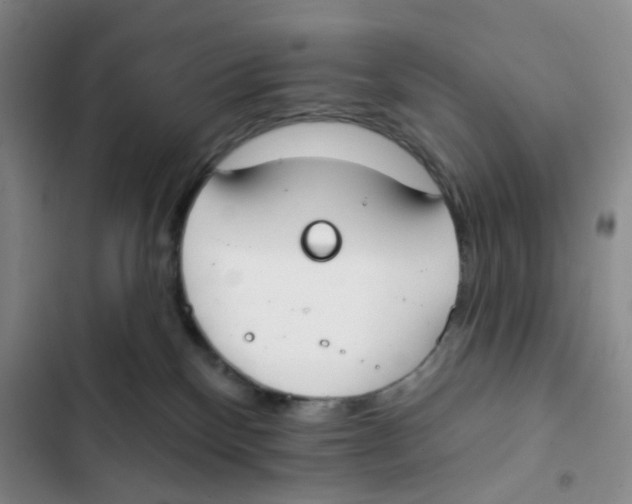 X0000102810136200809151000