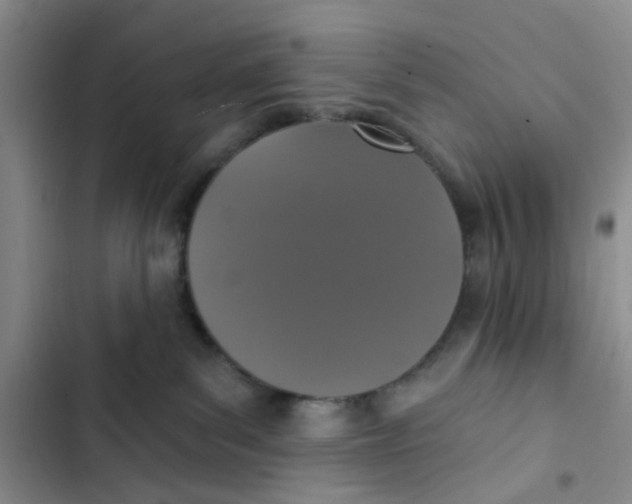 X0000102810139200809151000