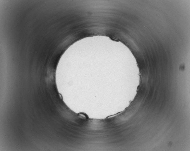 X0000102810141200809151000