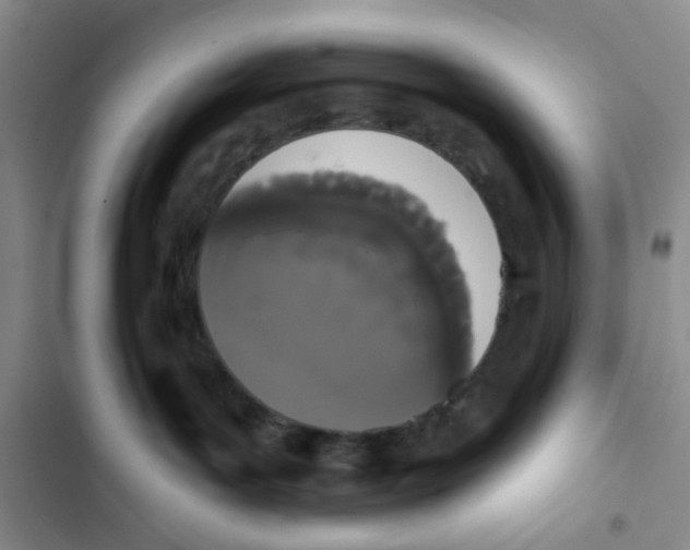 X0000102810143200809151000