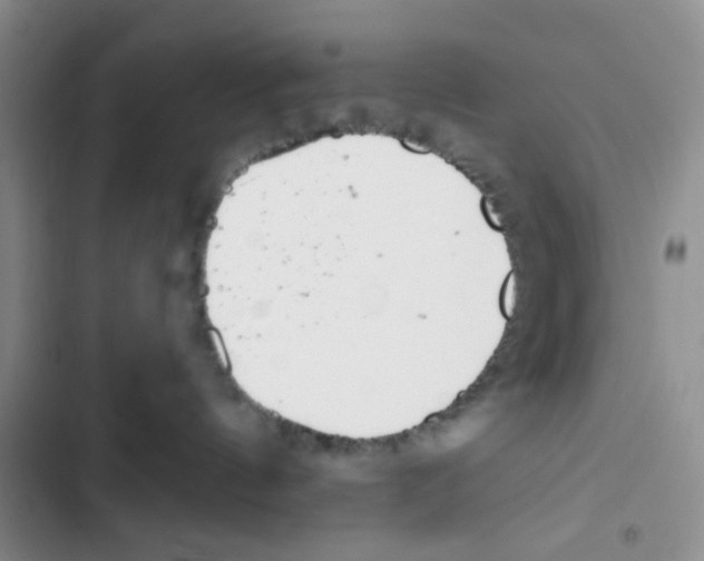 X0000102810144200809151000