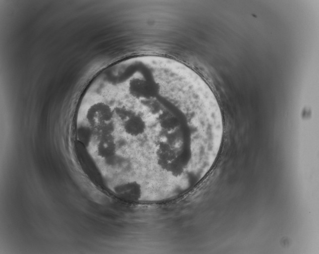 X0000102810145200809150959