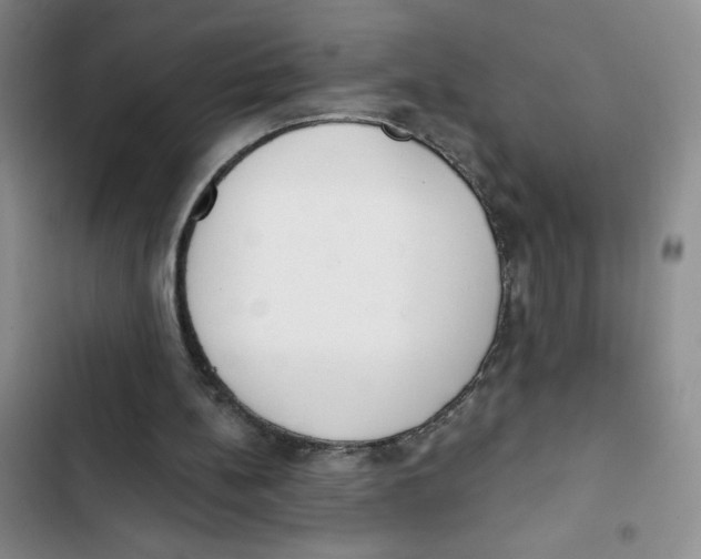 X0000102810148200809150959