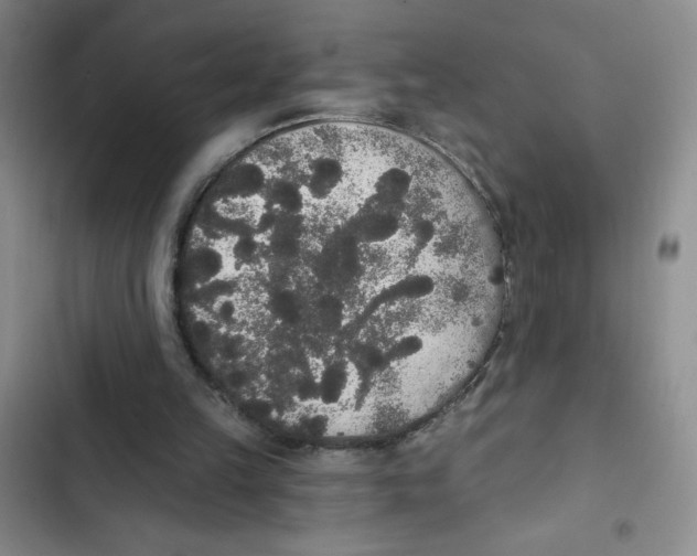 X0000102810149200809150959