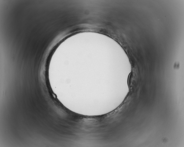 X0000102810150200809150959