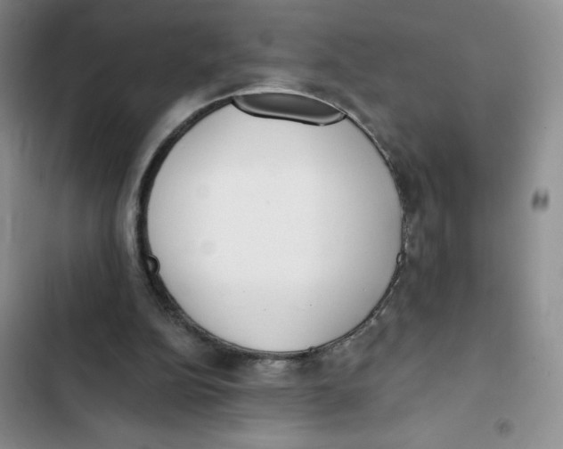 X0000102810152200809151000