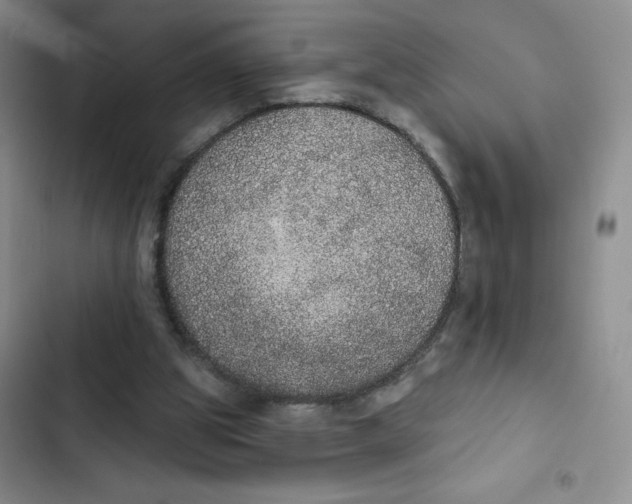 X0000102810153200809151000